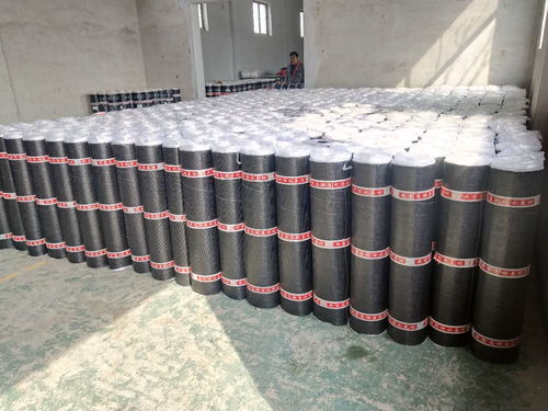 sbs改性瀝青防水卷材 3.0mm厚地下室防水材料 sbs防水卷材