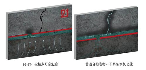 王炸產品 1道工序1級防水 逆天性能 硬核防水卷材