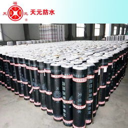 濰坊天元sbs改性瀝青防水卷材4mm聚酯胎 20 ,防水材料質(zhì)量保證圖片,濰坊天元sbs改性瀝青防水卷材4mm聚酯胎 20 ,防水材料質(zhì)量保證高清圖片 濰坊天元防水材料公司,