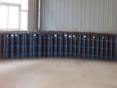 供應(yīng)河南聚酯胎SBS廠家,樓頂專用防水卷材,河南SBS廠家-鄭州華為防水材料